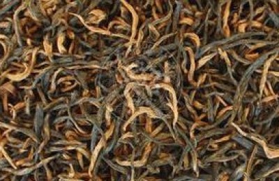 政和工夫茶产地